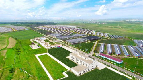 鄉(xiāng)村振興看長春 走在農(nóng)業(yè)科技創(chuàng)新的路上,她斗志昂揚(yáng)