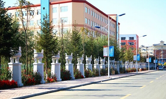 長(zhǎng)春科技學(xué)院校園風(fēng)景 現(xiàn)代化與自然美的和諧共舞